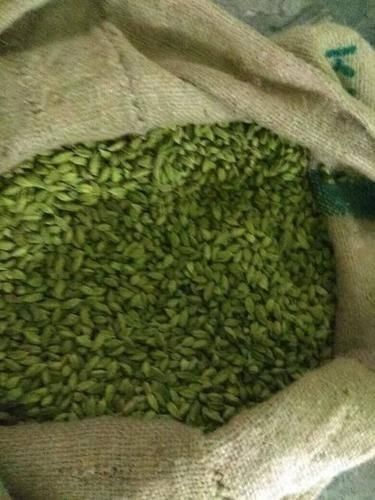 Green Cardamom In Large Size 8 Mm. Green Cardamom In Large Size 8 Mm. - Image 4