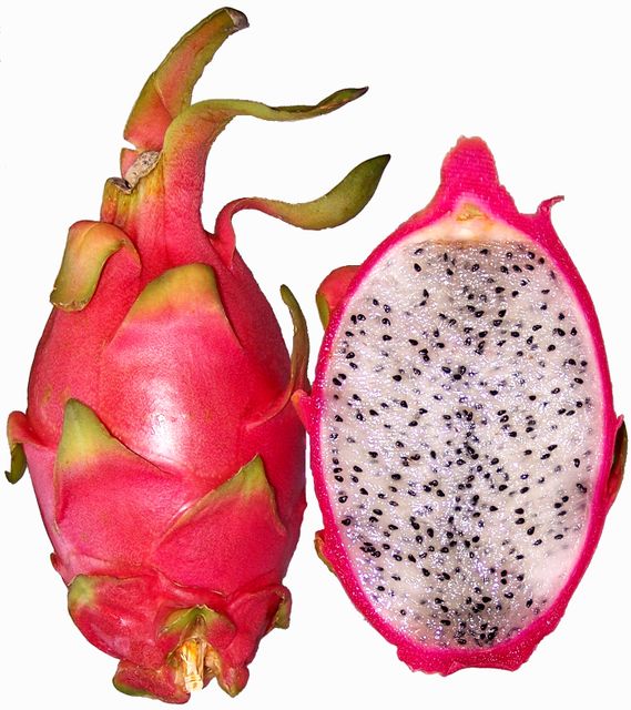 FRIST GRADE - PREMIUM QUALITY DRAGON FRUITS From Vietnam For Export WHATSAP 0084 989 322 607 - Image 4