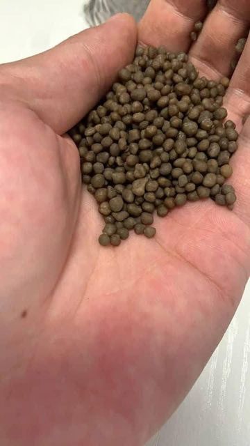 Buy DAP Fertilizer – Premium Diammonium Phosphate for Maximum Crop Yield | Bulk Supply Available - Image 3