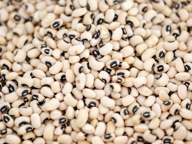 HOT SELLING 2023 Black eye Beans Madagascar Product Bulk Black eye Kidney Bean for food - Image 3