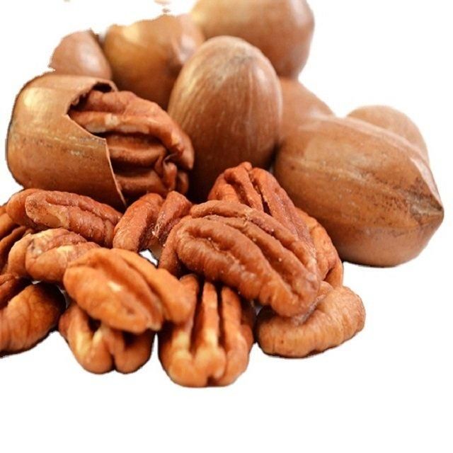 Export Pecans Nuts Premium Grade Whole Pecan Kernels Clean Fresh High Nutrition Suitable For International Buyers And Bulk Orders Buy Now Fast Delivery Premium Quality Wholesale - Image 4