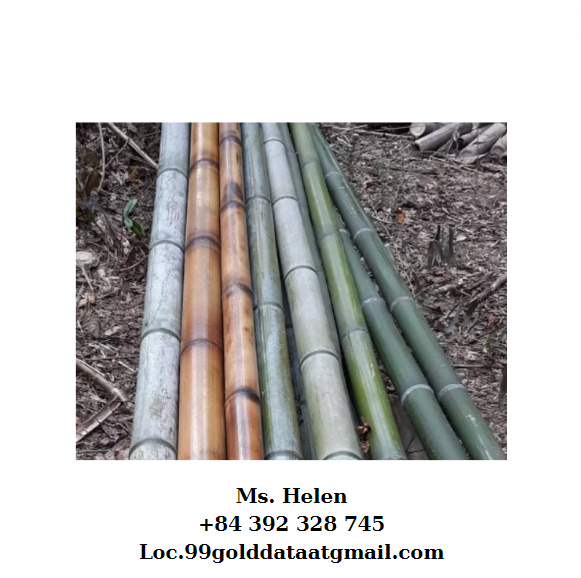 BAMBOO POLE FOR OUTDOOR CONSTRUCTION Packaging Details BUNCH IN PP - Image 1