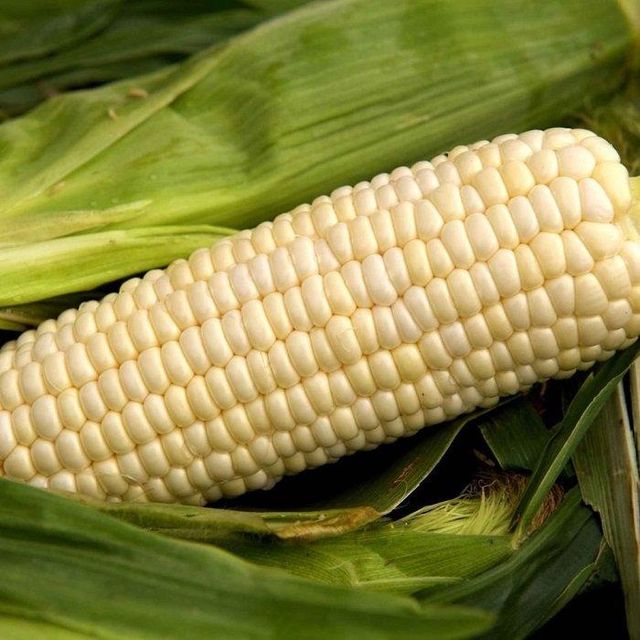 Premium Brazil White Corn Non GMO White Corn Kernels For Food Industry And International Export Buyers - Image 3