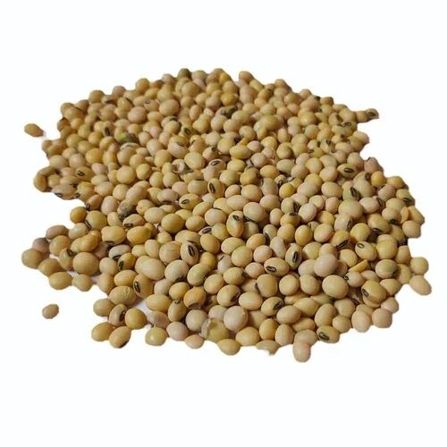 Fresh Soybeans High Grade Whole Beans Affordable Wholesale & Bulk Supply - Image 4