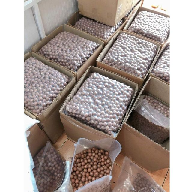 Raw Dried Macadamia Nuts Organic Macadamia Healthy Natural Snack Delicious Flavor Premium Bulk Packing - Image 4