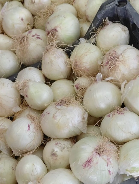 Fresh White Onions 10kg Export Bags Naturally Rich And Aromatic White Onions 80mm Flavor On Sale - Image 4