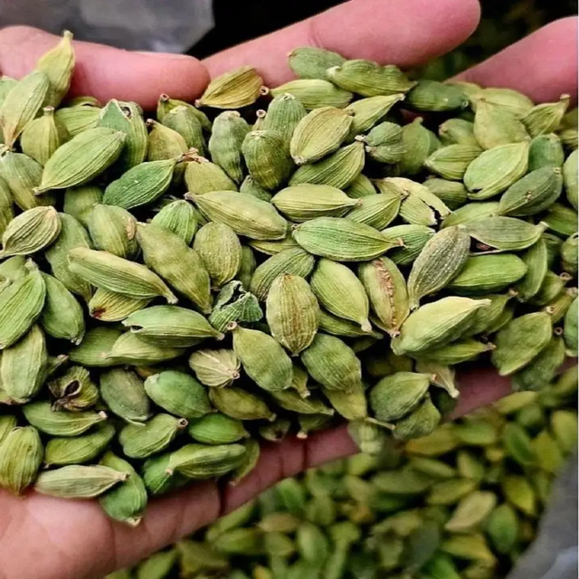 Whole Cardamom Seeds – Premium Spice Export Supply High Aroma Green Cardamom – Bulk Wholesale Trade - Image 3
