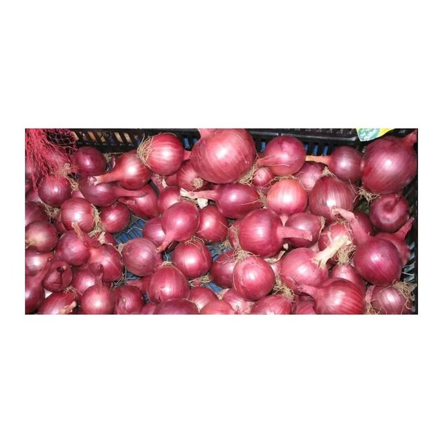 Fresh Red Onions New Harvest Wholesale Seasoned Foods spices big onions Top Grade - Image 4