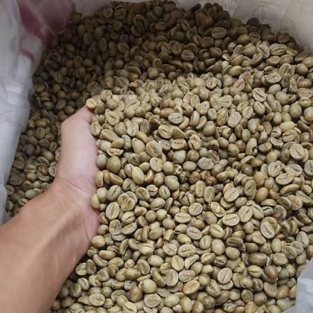 Green Bean Coffee - Image 1