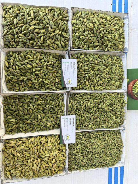 GREEN CARDAMOM - Image 3
