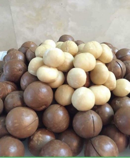 MACADAMIA NUTS - Image 2