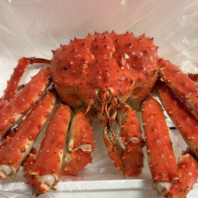 Live King Crab Whole Wild Caught for Luxury Dining and Seafood Markets Premium Quality - Image 4