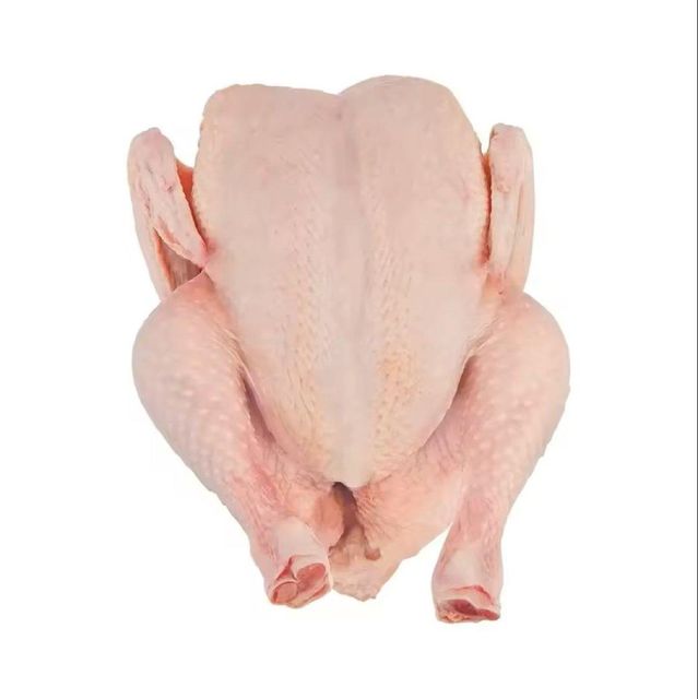 Frozen Chicken Breast/Wholesale Frozen Boneless Chicken Breast for Sale at Cheap Price - Image 1