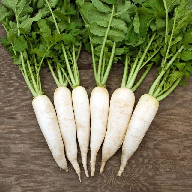 VIET NAM EXPORT FRESH WHITE RADISH Color White Style Fresh Type Radish Weight (kg) 1 Taste Delicious Address Vietnam Model Number - Image 2