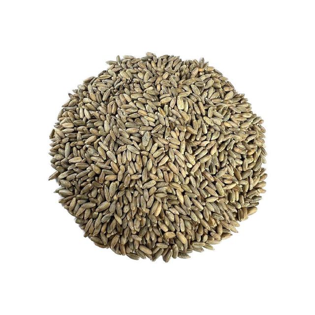Bulk rye grain wholesale in large stock at cheap factory price - Image 1