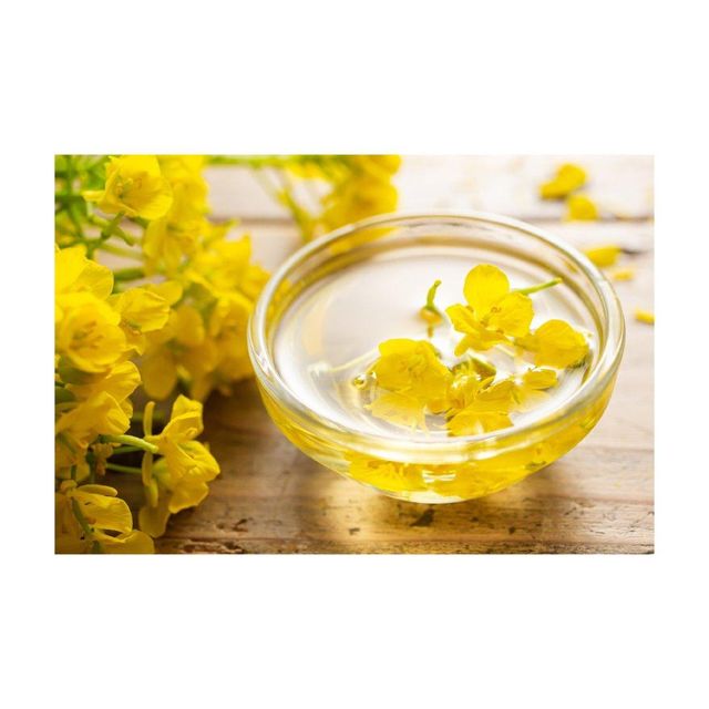 Refined canola oil offered in stock for cooking and food processing industries - Image 3