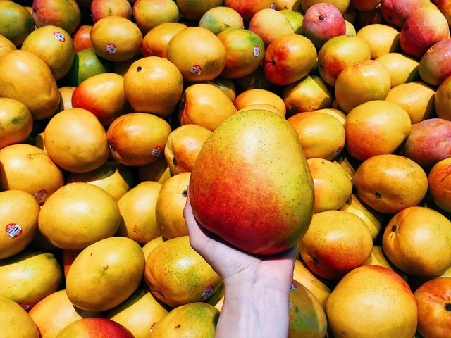 Premium Fresh Kent Mangos Sweet Tropical Fruit For Healthy Daily Snacks And Juice Lovers Worldwide - Image 3