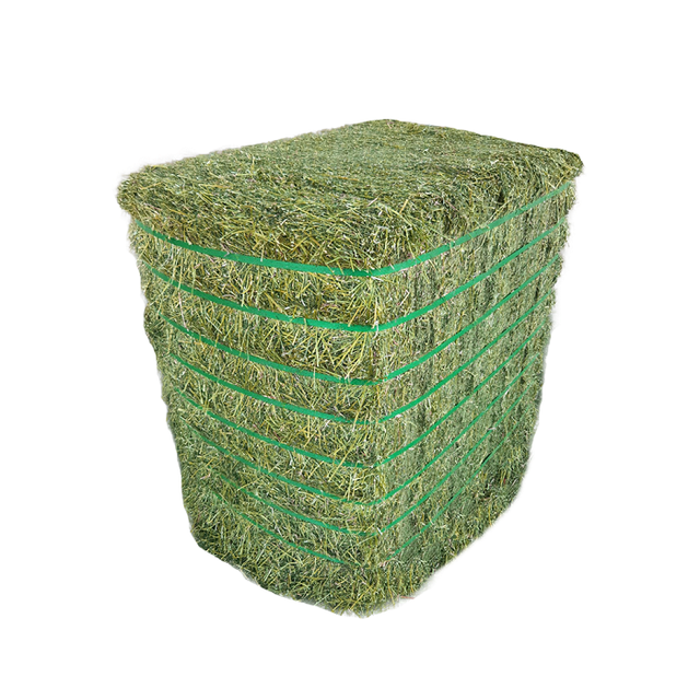 Hot Sale Alfalfa hay for Animal Feeding and Seeds Cheap Alfalfa hay Bales Packing Bulk Suppliers Cattle Feed and Horse Feed - Image 3