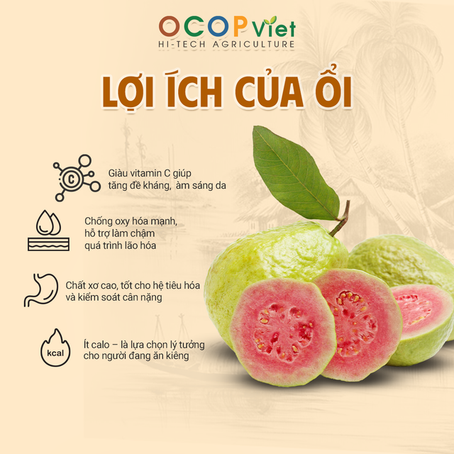 Ổi Ruột Đỏ Ruby - Ruby Red Flesh Guava – product photo 3, product detail gallery