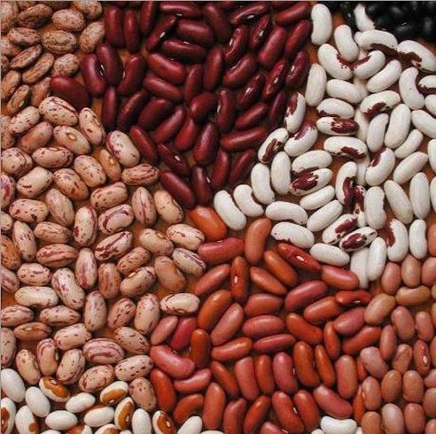 Light Speckled Kidney Beans, Kidney Beans, Red Kidney Beans, White Kidney Beans, Black Kidney beans - Image 4