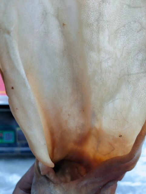 Dry Cow Ears Texture Odorless Drying Process Dried Odor Profile Odorless Material Der Cow Ears Certifications Gmp, Iso 9001:2015 - Image 3