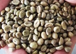 Coffee Beans Manufacturing Green Bean Commercial Arabica Robusta Coffee Beans Wholesale from Vietnam- WHATSAP 0084989322607 - Image 5