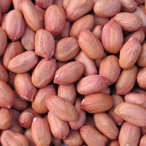 Export Grade Peanut Kernels Bulk Sale With Fast Delivery And Reliable Supply  Peanut Kernels Premium - Image 4