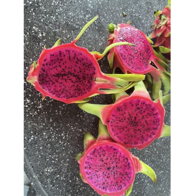 Export Standard Bulk Fresh Dragon Fruit Natural Sweet Taste Red and White Tropical Fruit 380-780g Agriculture Grade – product photo 4, product detail gallery
