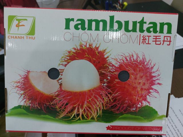 Export Standard Rambutan Fresh Fruit Sweet Taste Natural Cultivation Type Packed in Carton Box Agriculture Use - Image 4