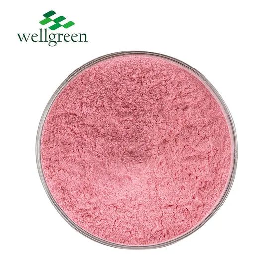 Wellgreen Fruit Powder Strawberry Juice Powder Strawberry Powder - Image 3