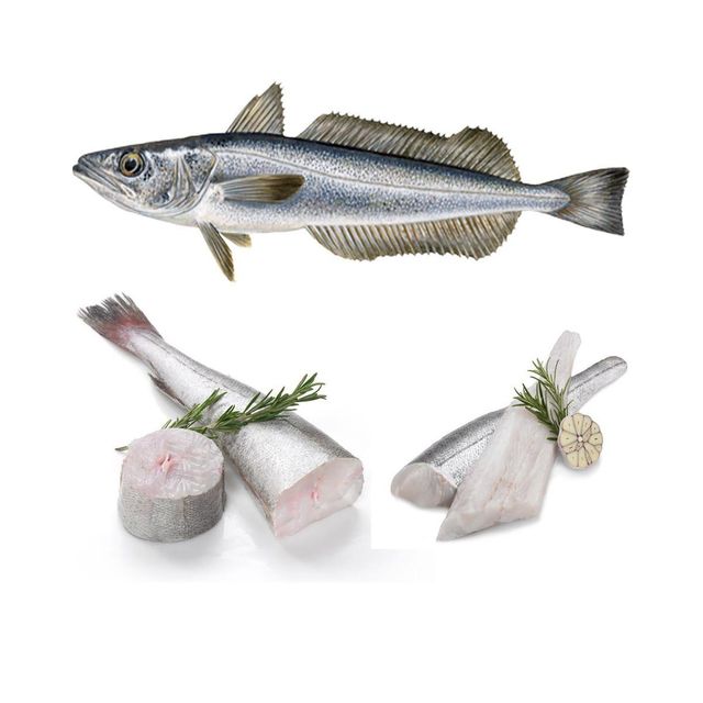 Fresh Hake Frozen At Peak Freshness Preserving Delicate Texture Authentic Taste And Dependable Shipment Quality - Image 3