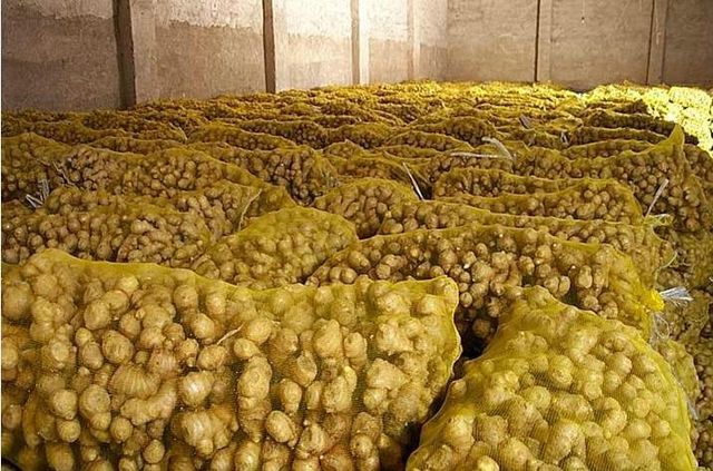 Buy Ginger Online from a Trusted International Supplier Form Ground, Whole Delivery Form Bag, Sacks Freshness Level Dried, Fresh - Image 3
