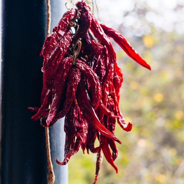Premium Quality Dried Chilli Peppers For Wholesale Food Supply With Strong Flavor Bright Appearance And Reliable - Image 4