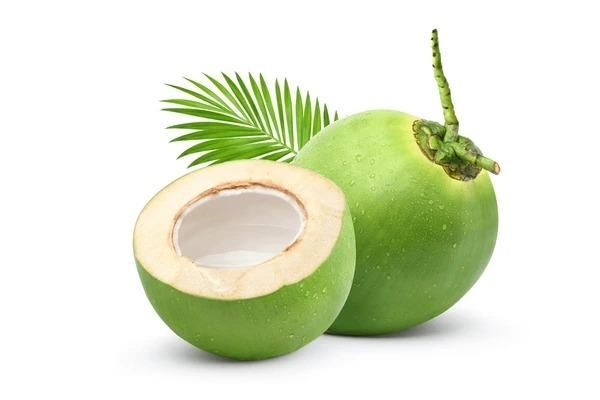 Coconut - Image 2