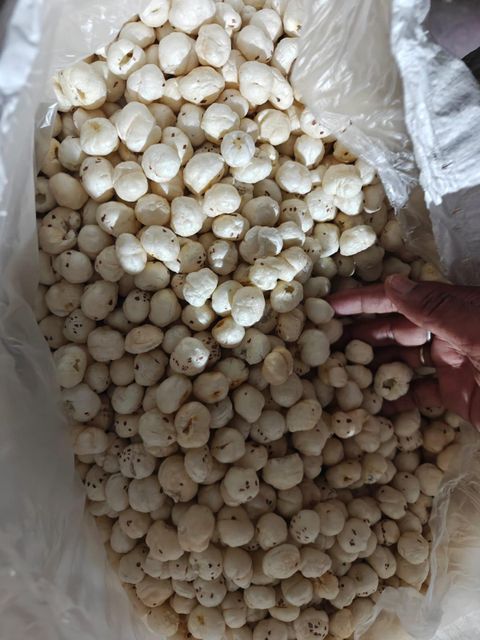 Fox Nuts- Makhana Origin India Texture Crunchy Taste Mild-neutral Place of Origin INDIA Packaging 10 KG pp bag Color Whitish- Yellowish - Image 3