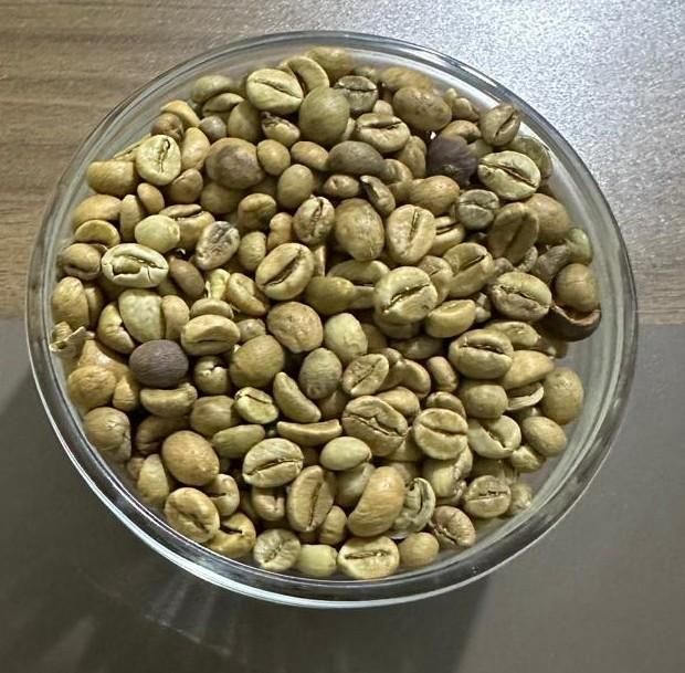 Robusta Coffee Beans – product photo 3, product detail gallery