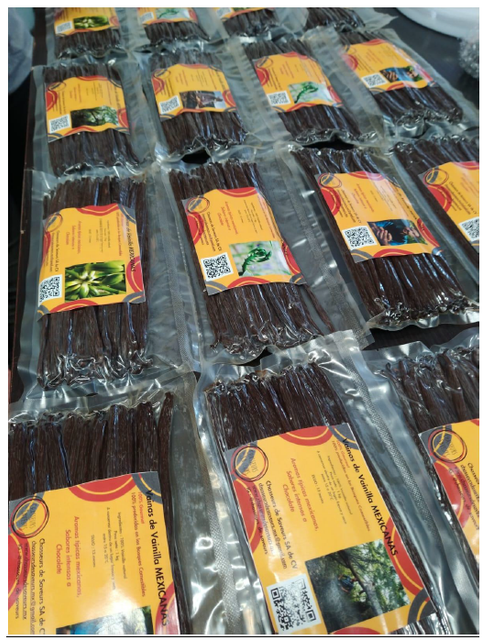 Vanilla Beans - Image 2