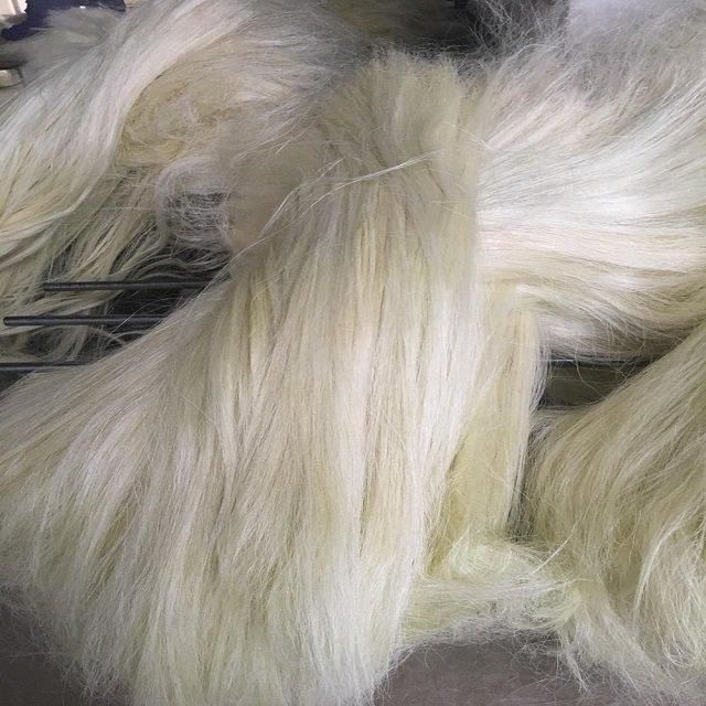 Hot Discount Sale Whole Sale Sisal Coconut Fibre Natural Staple Raw Pattern Spinning Woven Techniques Filling Eco-Friendly - Image 1