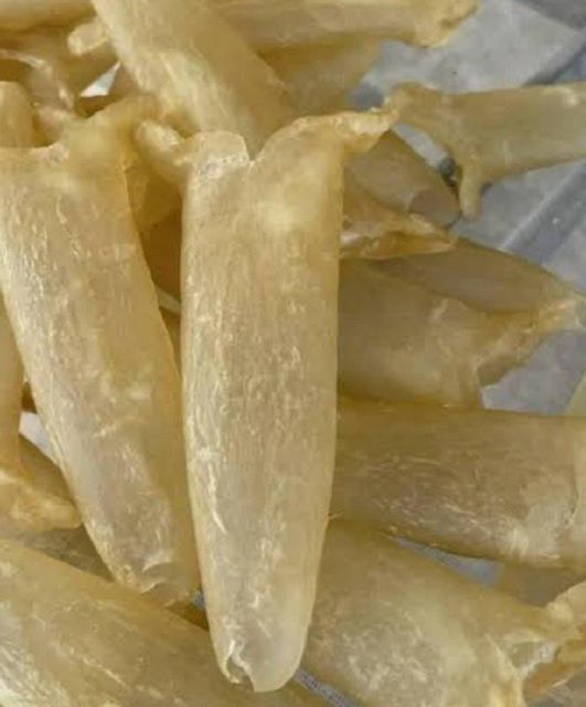 Premium Nile Perch Fish Maw Source Uganda Flavor Delicate Texture Soft, Gelatinous Processing Clean, Dried, Graded Nutritional Highlight Rich In - Image 1