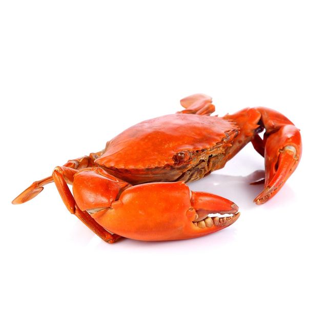Premium Frozen Crab High Quality Fresh Seafood Vacuum Packed Rich in Protein Ideal for Restaurants and Export - Image 2
