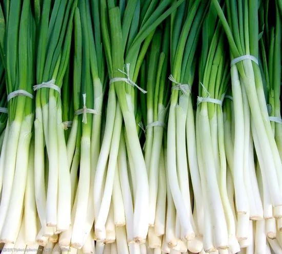 High Quality China Fresh Green Onion/Scallion Grade a+ Trademark aowoshi HS Code 0703902000 Shef Time 5 Months Model NO. - Image 6
