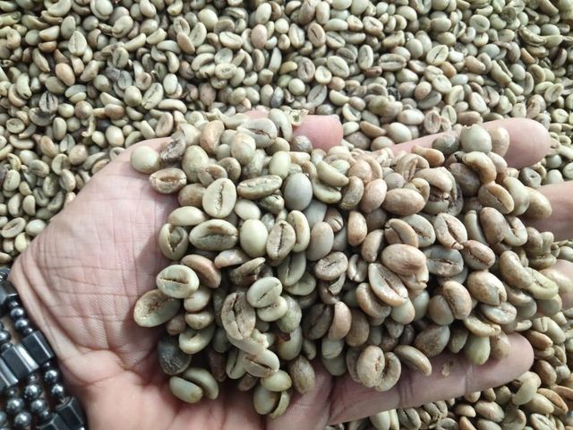 Coffee beans Arabica and Robusta from Kenya  Origin Kenya Bean Type Arabica And Robusta Quality Assurance Handpicked For - Image 1