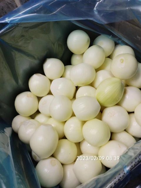 Vacuum Packed Fresh Peeled Onion for Cooking and Food Processing - Image 3