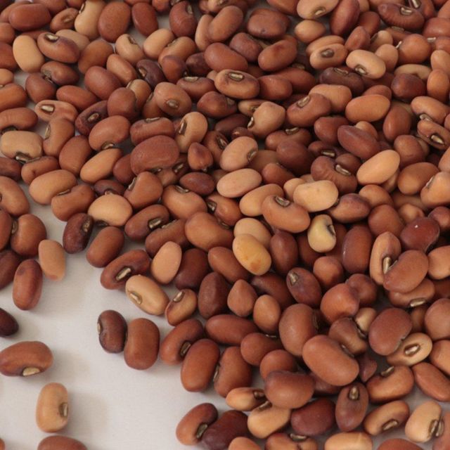 Wholesale Dried Cowpeas Seed Black Eye Beans Kacang Otok Pink Cowpeas Price - Image 5