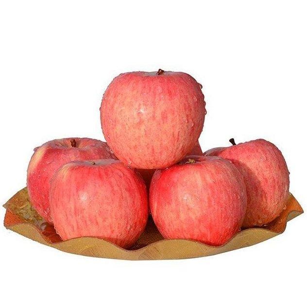 sweet fresh apple fresh fuji and red apples and other fresh fruits at wholesale price in bulk for export - Image 3