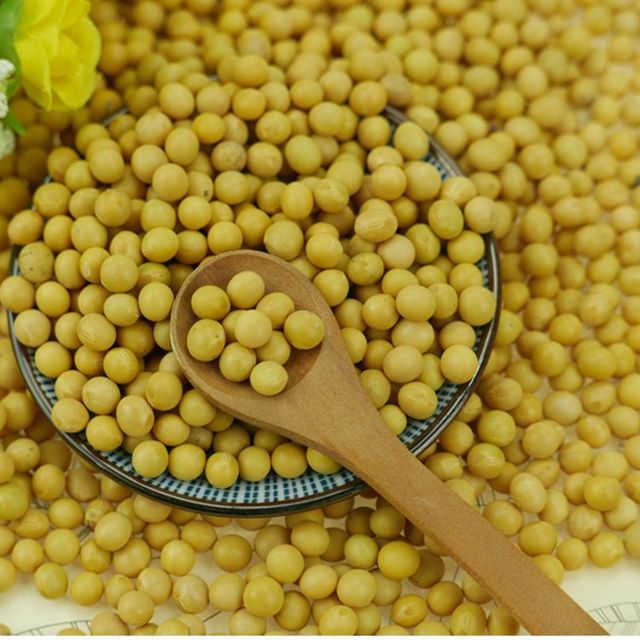 2023 Crop Chinese High Protein soya en grano Yellow Soybean Soya Beans / Soy Bean For Sale - Image 5