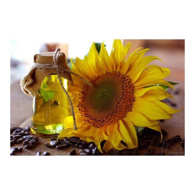 Bulk Storage Production Line Vegetable High End Refined Sunflower Food Cooking Oil For Cooking Organic cooking manufacturer wholesale Refined Unrefined Crude Price Sunflower oil Premium Quality Refined sunflower oil cooking oil, Organic Non unflower Oil - Image 4