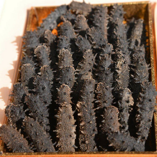 Dried Sea Cucumber / Clean Teat fish 99% Clean No Impurities for Seafood Wholesalers Bulk Supply Export Quality - Image 1