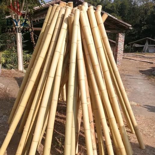 Premium Quality Eco-Friendly Bamboo Raw Materials Free Tax Directly from Viet Nam - Image 4