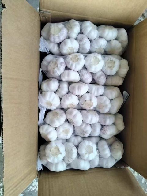 Custom Packaging Bulk Supply Dehydrated Garlic Flakes /Dried Garlic Flakes/White Garlic with Consistent Quality for Food - Image 4